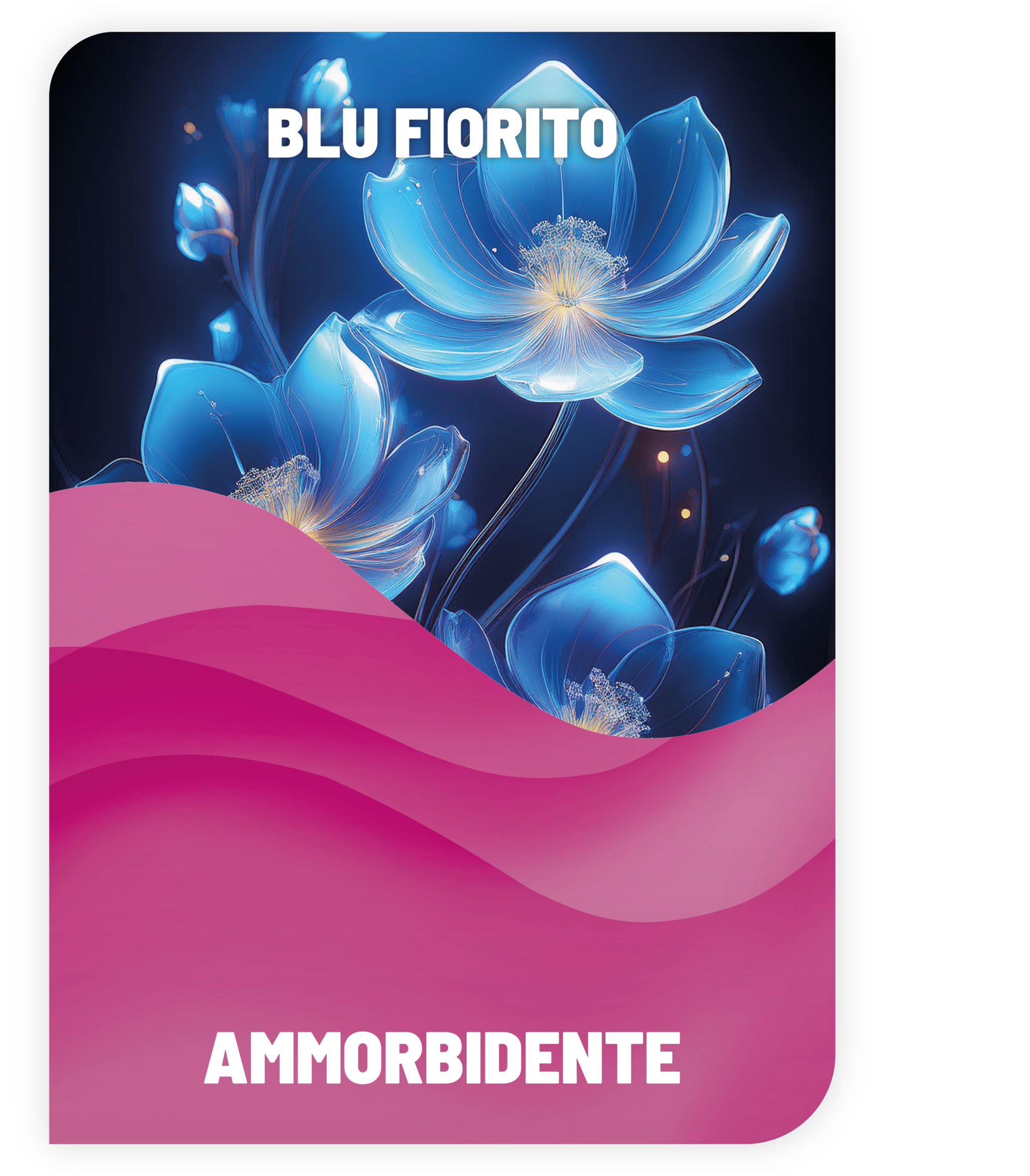 Detersivo Lavatrice e Ammorbidente