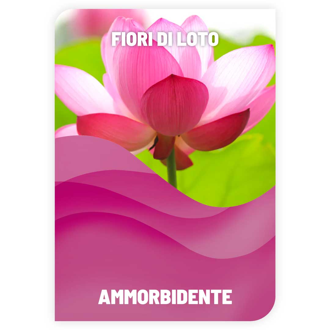 Ammorbidente