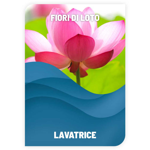 Detersivo Lavatrice